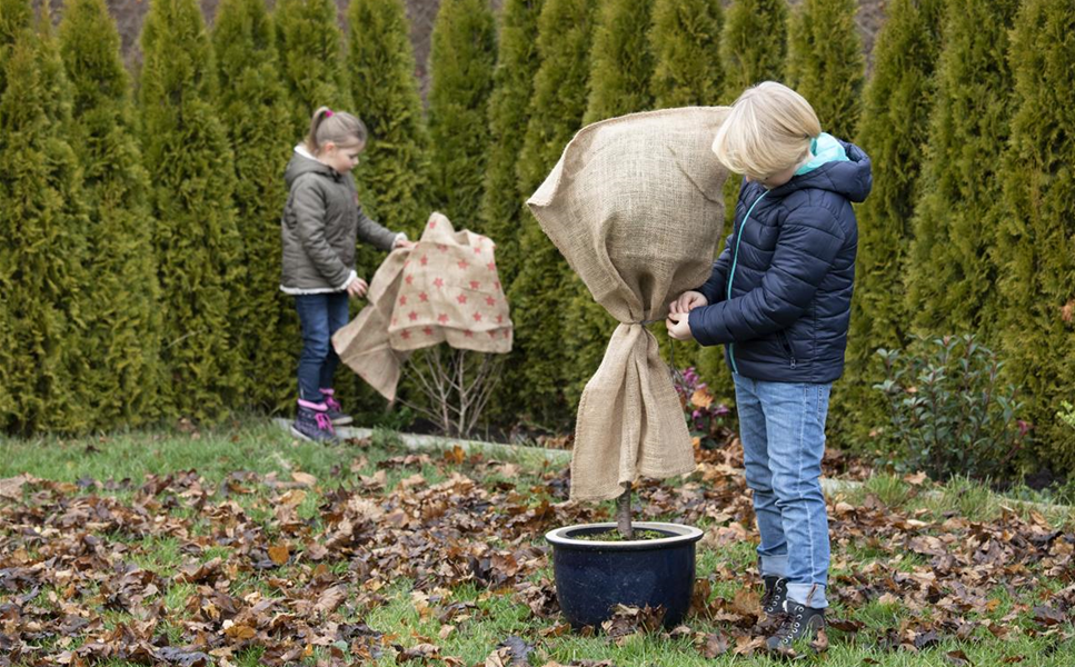 Pflanzenschutzberatung - Immer gut geschützt