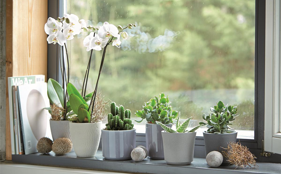 Innen - Hübsche Übertöpfe und Co.