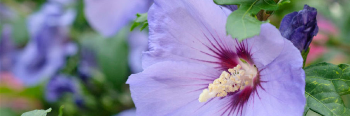 HIER FLIEGEN ALLE DRAUF!