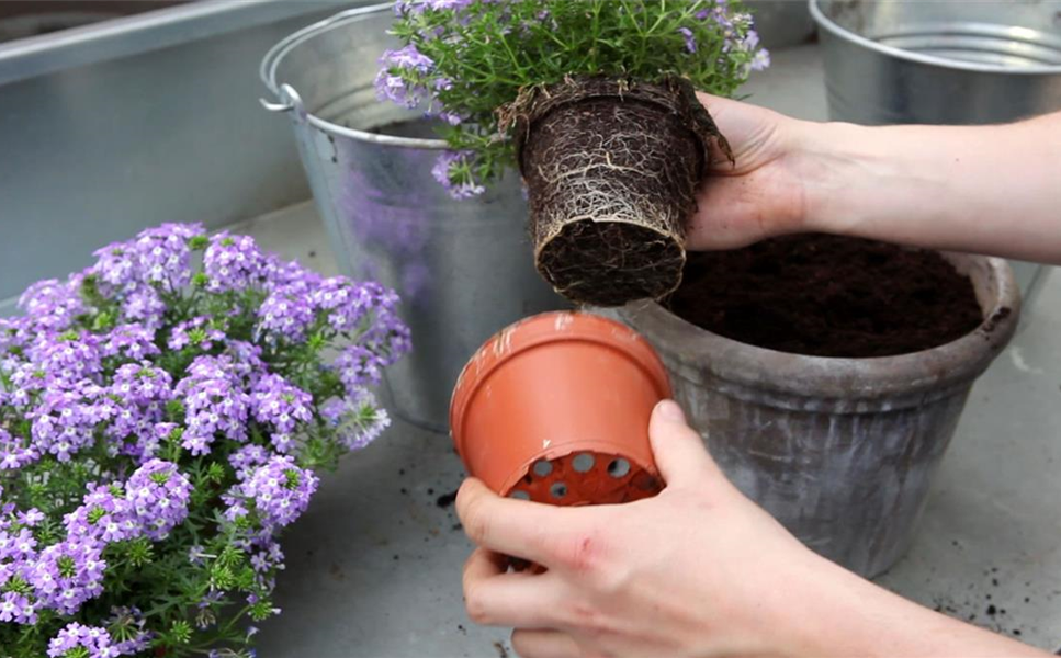 Erde - Das schöne an der Erde