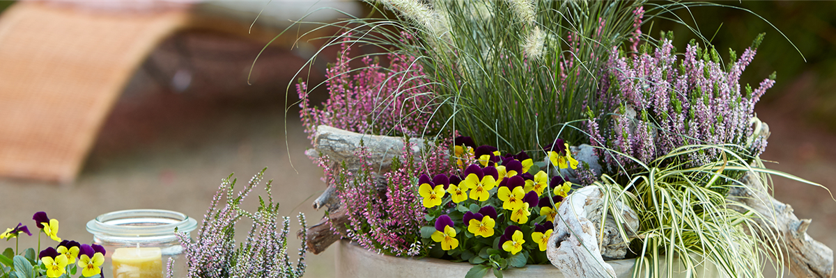 TERRASSENTRENDS IM HERBST