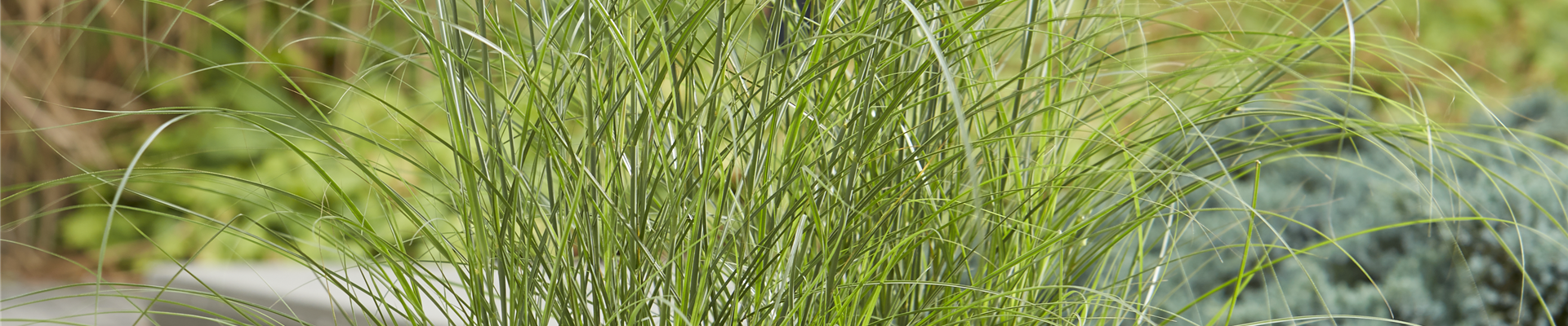 DER HERBST STEHT VOR DER TÜR! 