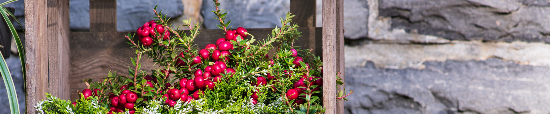 DIE FARBEN DES HERBSTES!