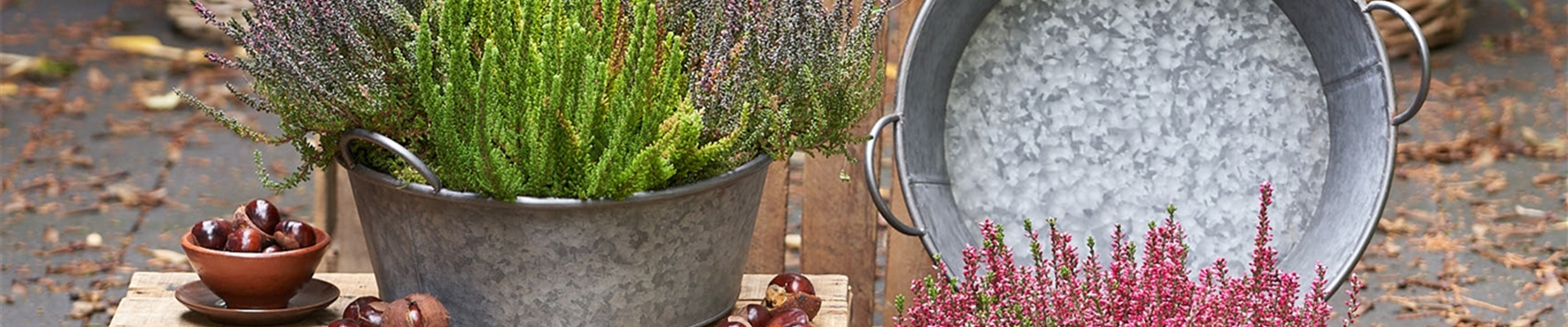 HEIDE - WOHIN DAS AUGE REICHT!