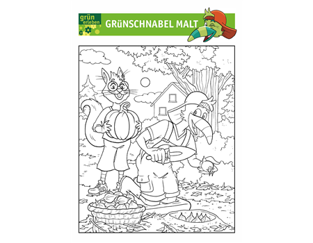 Grünschnabel Malvorlage 6 25