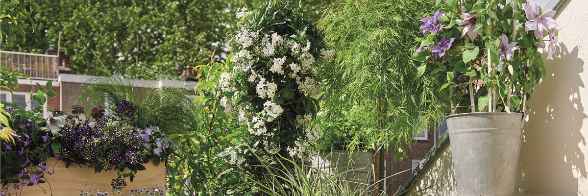 BLüHENDES MAKE OVER! 