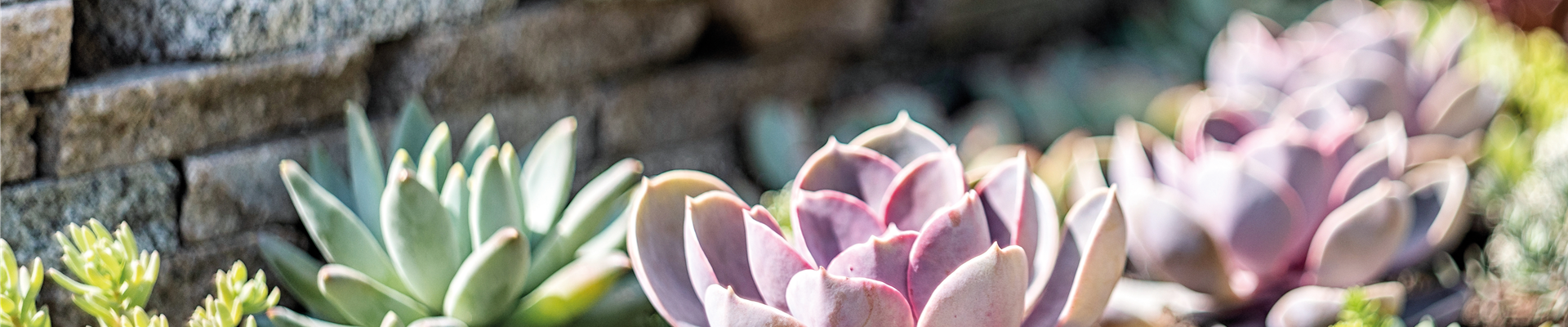 PFLEGELEICHT & ZEITLOS SCHöN! 