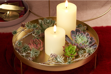 IM GLANZ DER ELEGANZ!