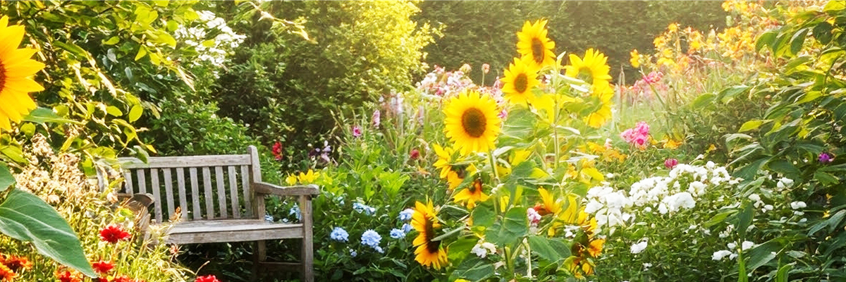 Buch des Monats: Februar!