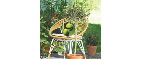 URLAUBSGEFÜHLE ZUHAUSE! 